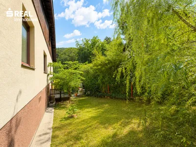 6-Zimmer-Gewerbeimmobilie kaufen in Wiener Neustadt Land – 173 m², € 417.000 – Bild 22 von 28