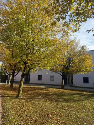 Wohnung kaufen in Wels – 71,08 m², € 299.000 – Bild 7 von 26