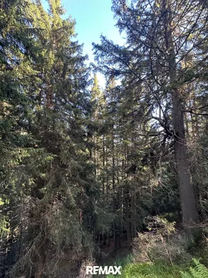 Grundstück kaufen in Sankt Johann im Pongau – 40 000 m², € 72.000 – Bild 2 von 3