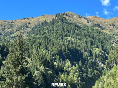 Grundstück kaufen in Sankt Johann im Pongau – 40 000 m², € 72.000