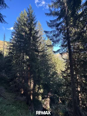 Grundstück kaufen in Sankt Johann im Pongau – 40 000 m², € 72.000 – Bild 3 von 3
