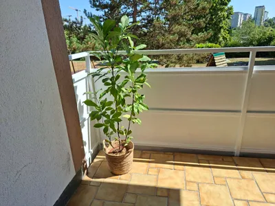 Wohnung kaufen in Graz – 45 m², € 159.000