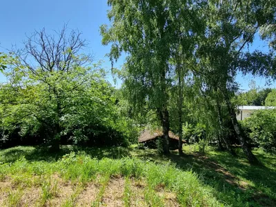 Grundstück kaufen in Sankt Pölten Land – 1 519 m², € 470.000 – Bild 13 von 26