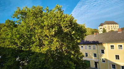 2-Zimmer-Wohnung mieten in Urfahr-Umgebung – 82 m², € 990