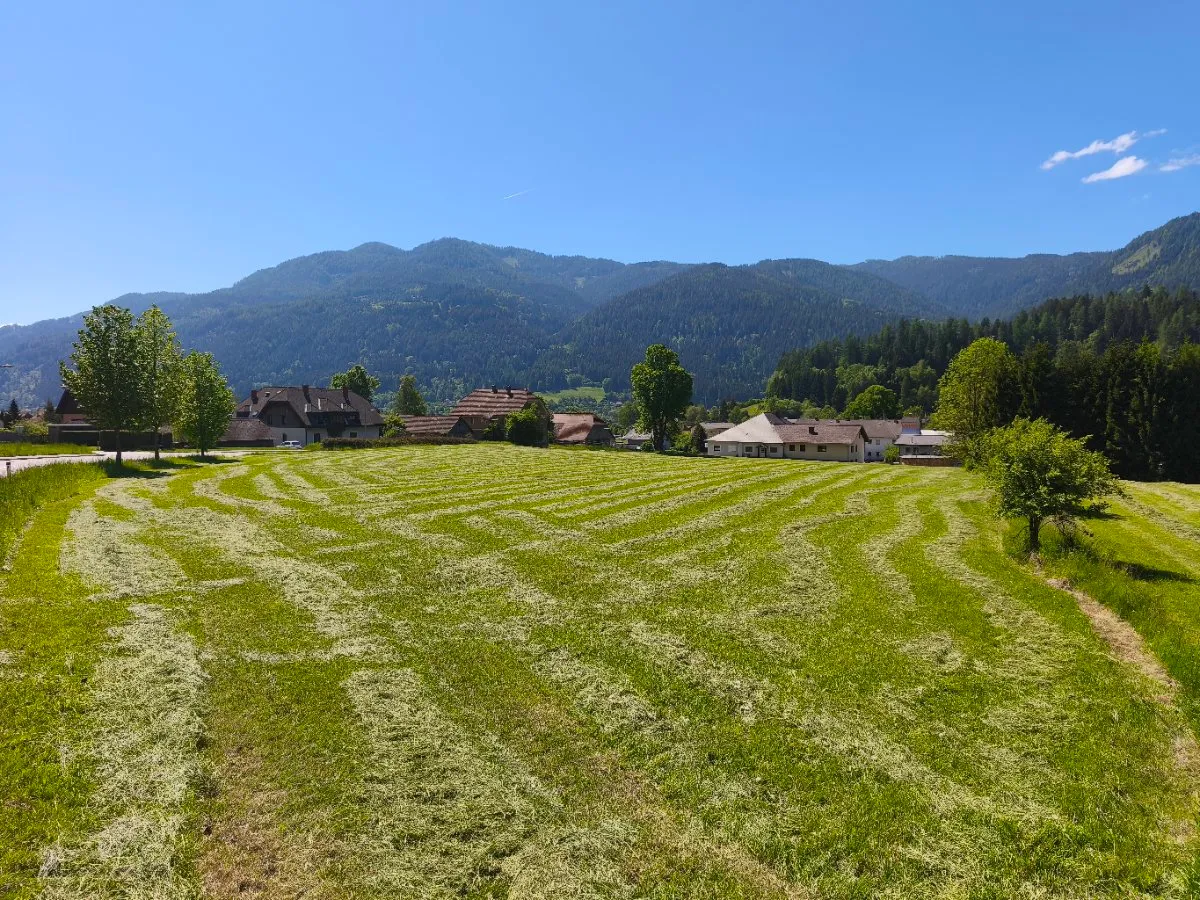 Gradischnig Erich - Ansicht 2