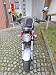 Honda Dax St Pocket Bike Willhaben