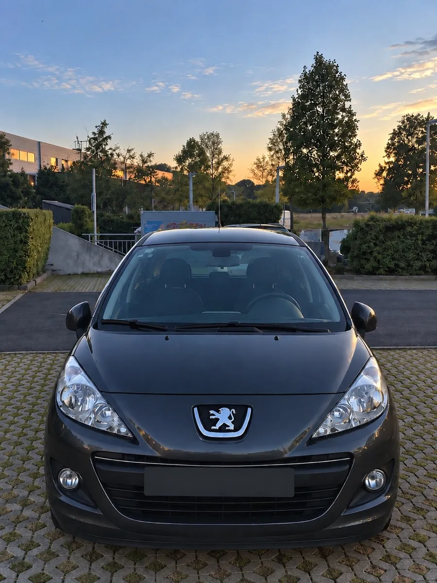 Peugeot 207 2011 photo 3
