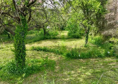 2-Zimmer-Haus kaufen in Hollabrunn – 43 m², € 135.000 – Bild 15 von 16