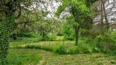 2-Zimmer-Haus kaufen in Hollabrunn – 43 m², € 135.000 – Bild 3 von 16