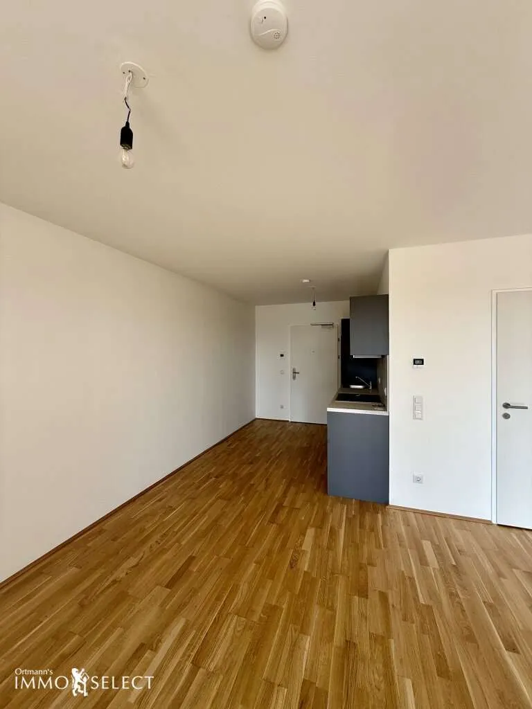 "Ankommen, einziehen, wohlfühlen - moderne Wohnung mit sonniger Loggia & Garage" - Ansicht 3