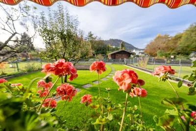 2-Zimmer-Wohnung mieten in Salzburg Stadt – 24 m², € 399 – Bild 12 von 17