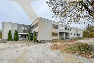 Gewerbeimmobilie mieten in Wels-Land – 2 763 m², € 20.725