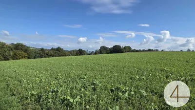 Grundstück kaufen in Grieskirchen – 75 000 m², € 16 – Bild 2 von 6