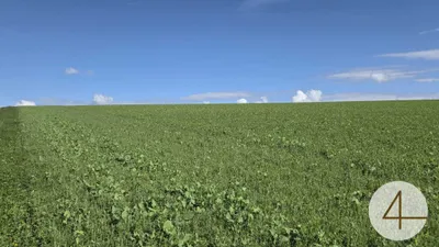 Grundstück kaufen in Grieskirchen – 75 000 m², € 16