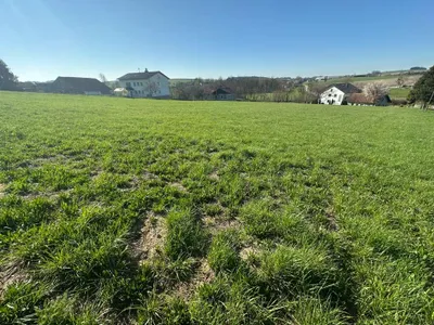 Grundstück kaufen in Ried im Innkreis – 740 m², € 66.600 – Bild 3 von 3