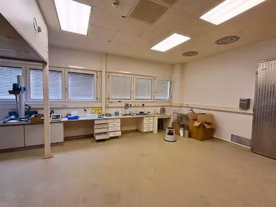 Gewerbeimmobilie mieten in Wien – 156 m² – Bild 5 von 7