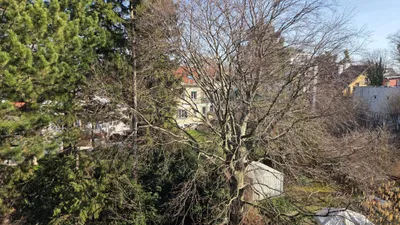 3-Zimmer-Wohnung kaufen in Wien – 65 m², € 249.000 – Bild 5 von 23