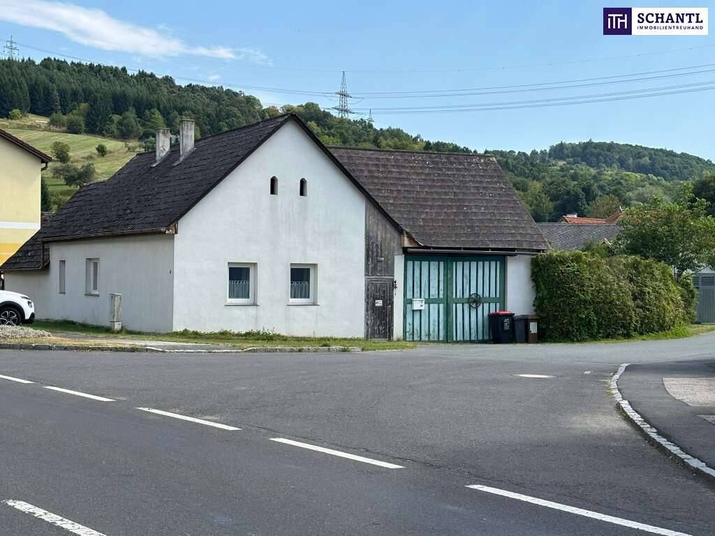Tolle Gelegenheit - Landleben zum Einstiegspreis - Haus mit Garten & viel Potenzial! – pohled 3