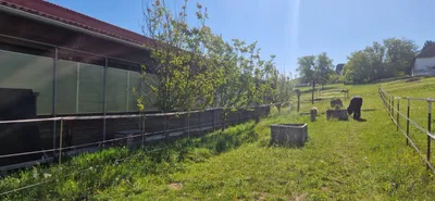 Immobilie kaufen in Güssing – 6 096 m², € 395.000 – Bild 5 von 14