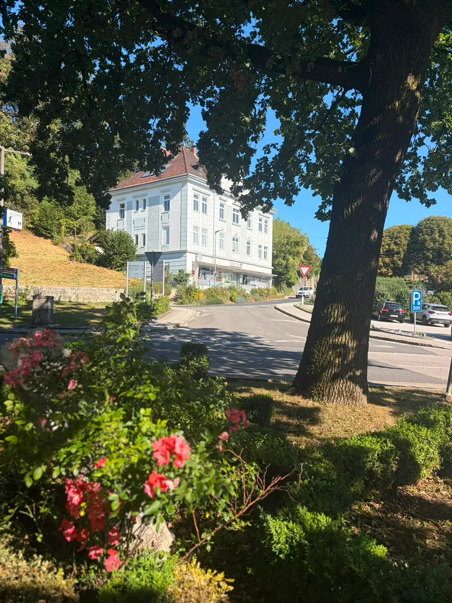136 m² Geschäftsfläche mit Garten- Gegenüber Stift Kremsmünster (Büro / Praxis / Gastro) - Ansicht 2