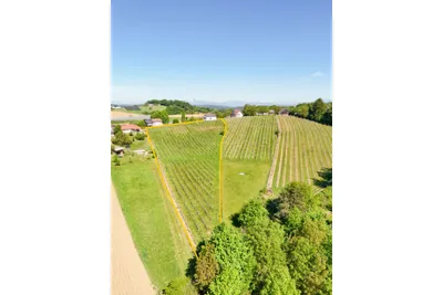 Grundstück kaufen in Hartberg-Fürstenfeld – 7 886 m², € 480.000 – Bild 3 von 6