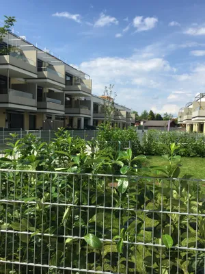 2-Zimmer-Wohnung mieten in Wien – 55 m², € 1.086 – Bild 9 von 14