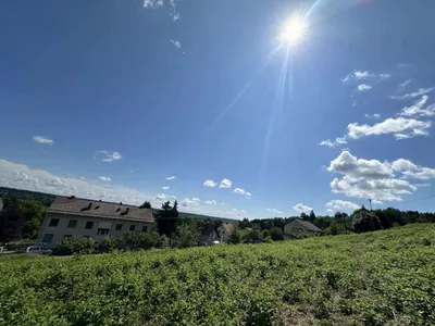 Haus kaufen in Deutschlandsberg – 7 743 m², € 1.590.000 – Bild 9 von 10