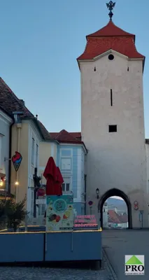 Gewerbeimmobilie kaufen in Hollabrunn – 120 m², € 490.000 – Bild 11 von 19
