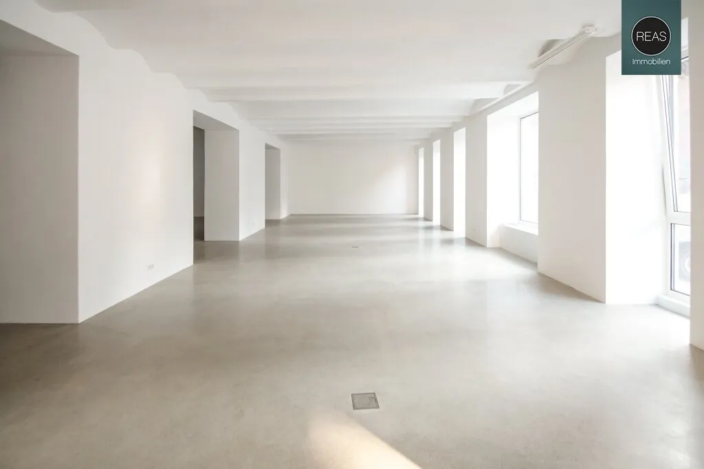 Loft in bester Hoflage der Brotfabrik Wien!