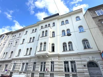 Classic Viennese apartment in the diplomatic district of Vienna (4b)