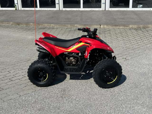 CF-Moto CForce 110 Kids ATV Quad