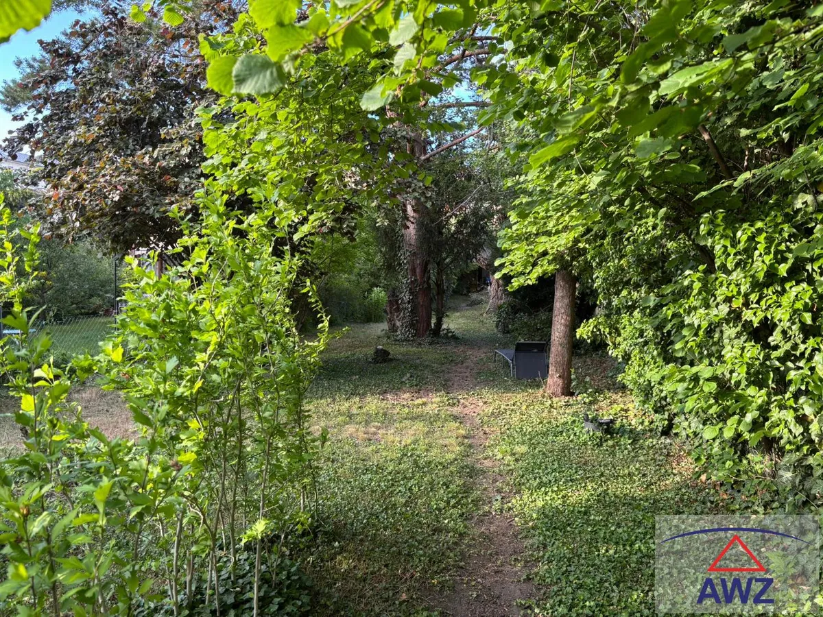 Sanierungsbedürftiges Ein-/Mehrfamilienhaus im Zentrum von Langenzersdorf günstig zu verkaufen! - Ansicht 2