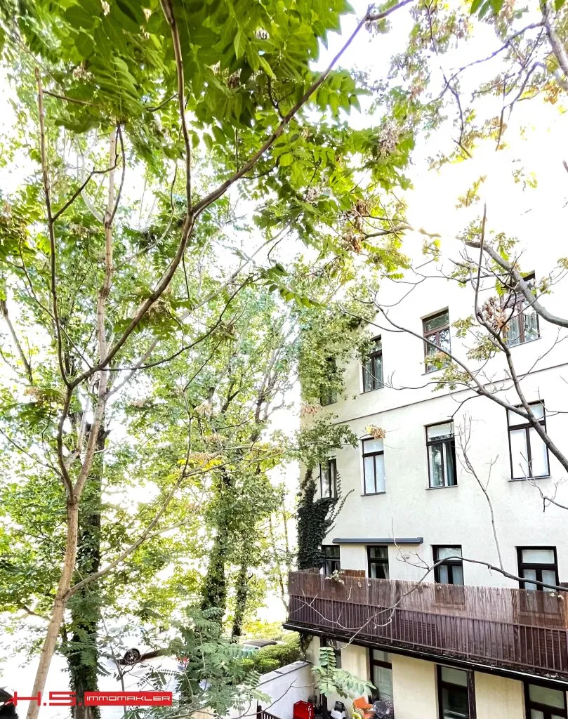 TOPPREIS - KARDINAL NAGL PLATZ - SCHÖNE ALTBAUWOHNUNG - U3 - RENOVIERTES STILHAUS - GRÜNBLICK - Ansicht 3