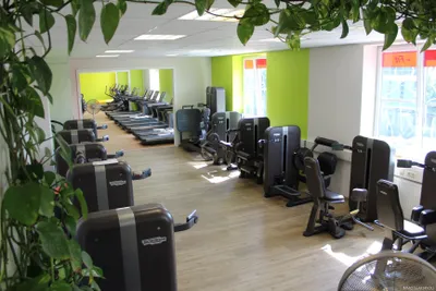 Gewerbeimmobilie kaufen in Vöcklabruck – 752 m², € 1.675.000 – Bild 15 von 21