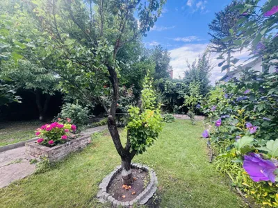 Haus kaufen in Wien – 361 m², € 559.000 – Bild 3 von 14
