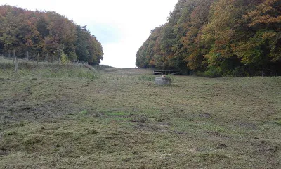 Immobilie mieten in Hollabrunn – 14 200 m², € 650 – Bild 9 von 18