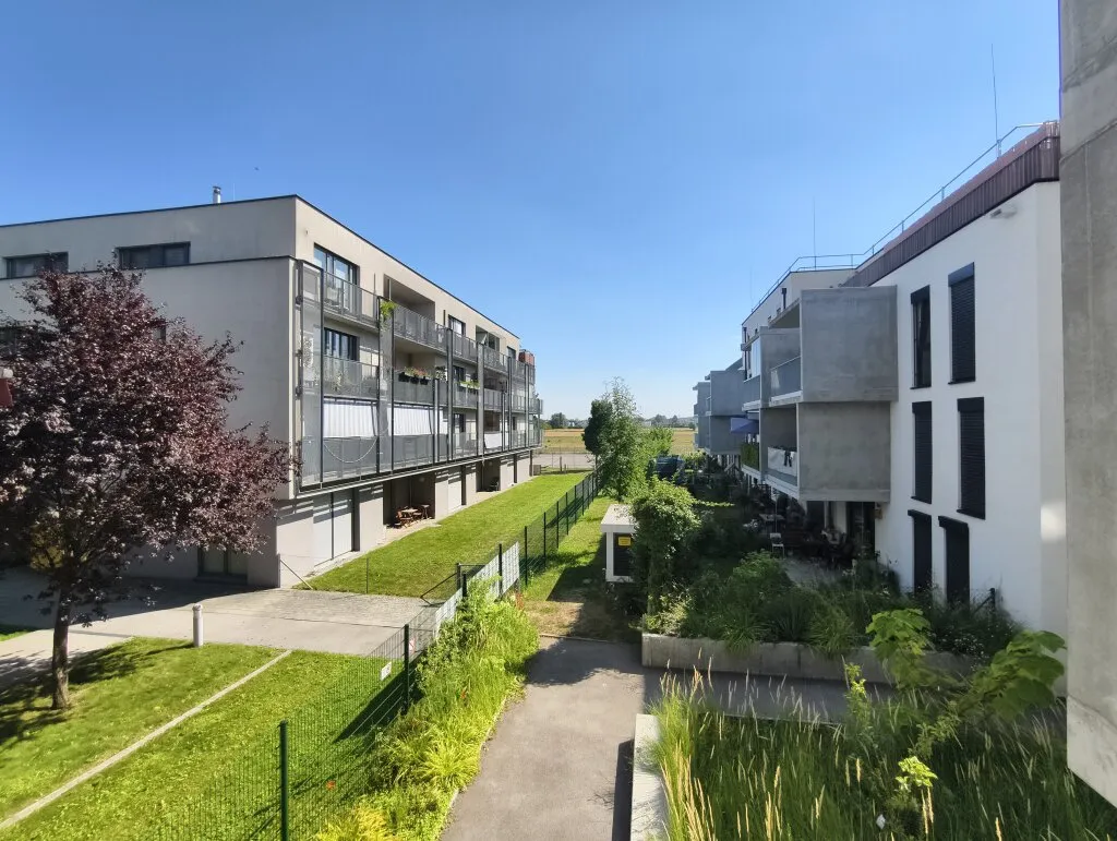 Apartment in Wien, Jägermais, Aspern - Ansicht 3