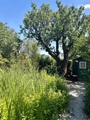 4-Zimmer-Haus kaufen in Wiener Neustadt – 147 m², € 575.000 – Bild 23 von 27