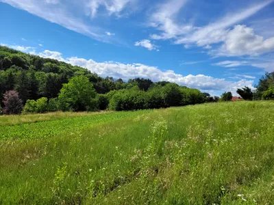 Grundstück kaufen in Hartberg-Fürstenfeld – 10 321 m², € 99.000 – Bild 7 von 9