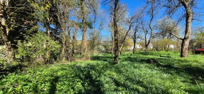 Grundstück kaufen in Amstetten – 600 m² – Bild 3 von 6