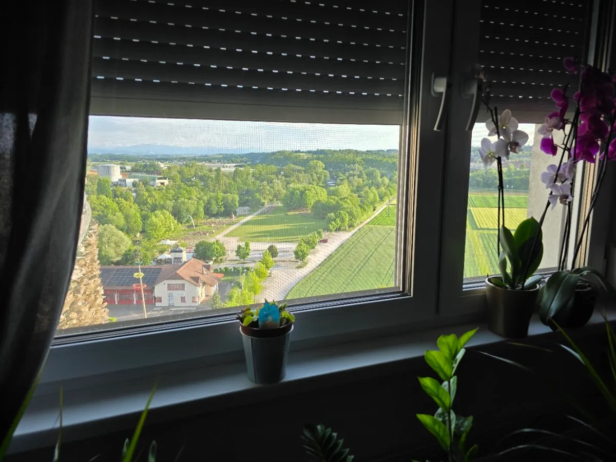 Provisionsfreie 4 Zimmer Wohnung mit Aussicht in Ansfelden - Ansicht 3