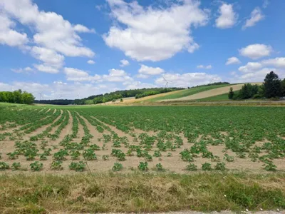 Grundstück kaufen in Bruck an der Leitha – 39 330 m²