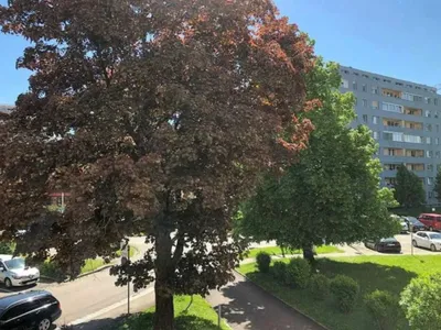 2-Zimmer-Wohnung mieten in Linz – 60 m², € 920 – Bild 2 von 11
