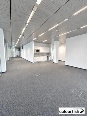 Gewerbeimmobilie mieten in Wien – 750 m², € 17.446 – Bild 5 von 15