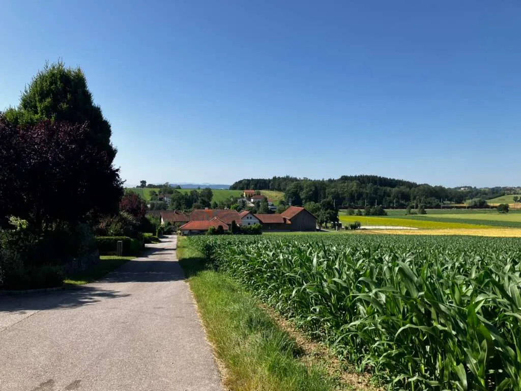 2 Grundstücke in sonniger Lage - Ansicht 3
