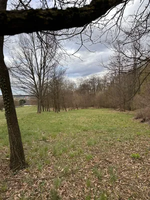 Grundstück kaufen in Oberwart – 6 546 m² – Bild 2 von 3