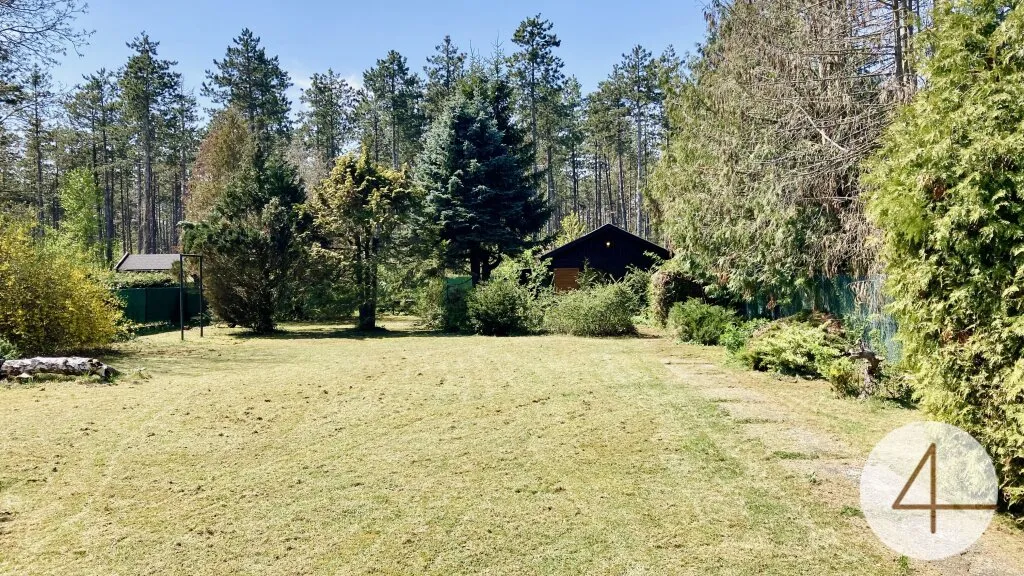 Ruhig wohnen im Grünen - wenige Minuten nach Wiener Neustadt - 804m² Baugrundstück - direkt neben dem Wald - nahe Golfplatz & Therme - Ansicht 2