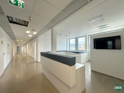 Gewerbeimmobilie mieten in Wien – 972 m², € 13 – Bild 4 von 14