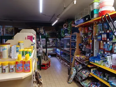 Gewerbeimmobilie mieten in Zwettl – 250 m², € 1.000 – Bild 7 von 10