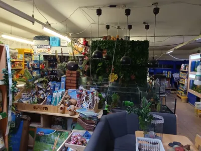 Gewerbeimmobilie mieten in Zwettl – 250 m², € 1.000 – Bild 5 von 10